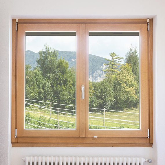 Holzfenster Ampfing